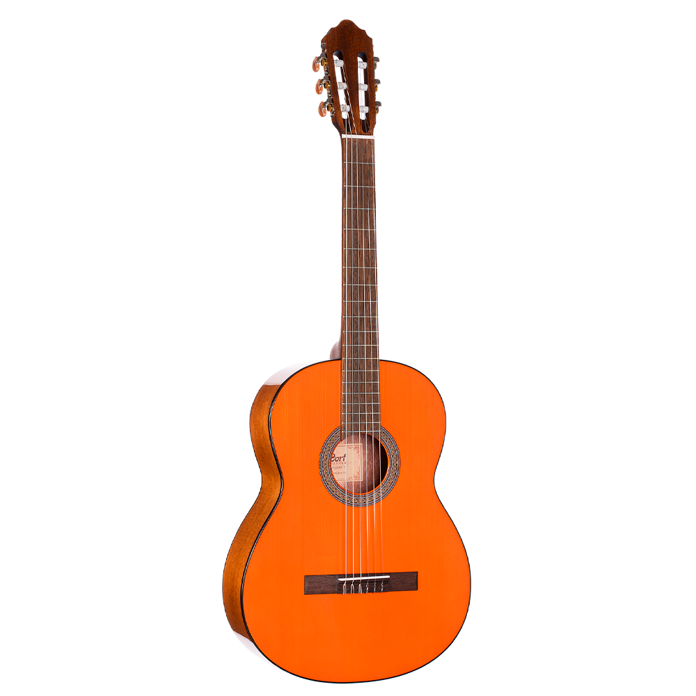 Nylon guitar online