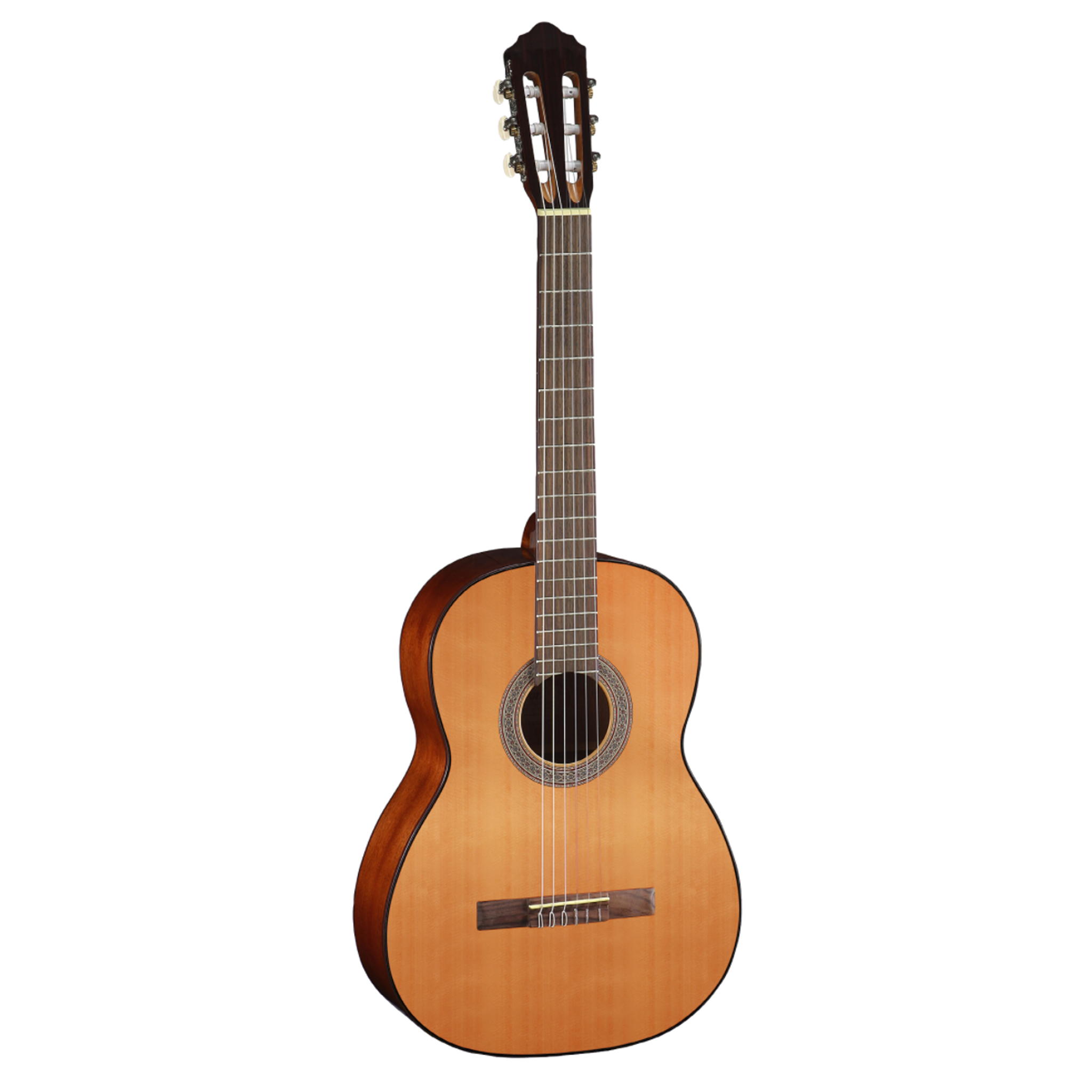 Cort AC100 Classical Guitar With Bag
