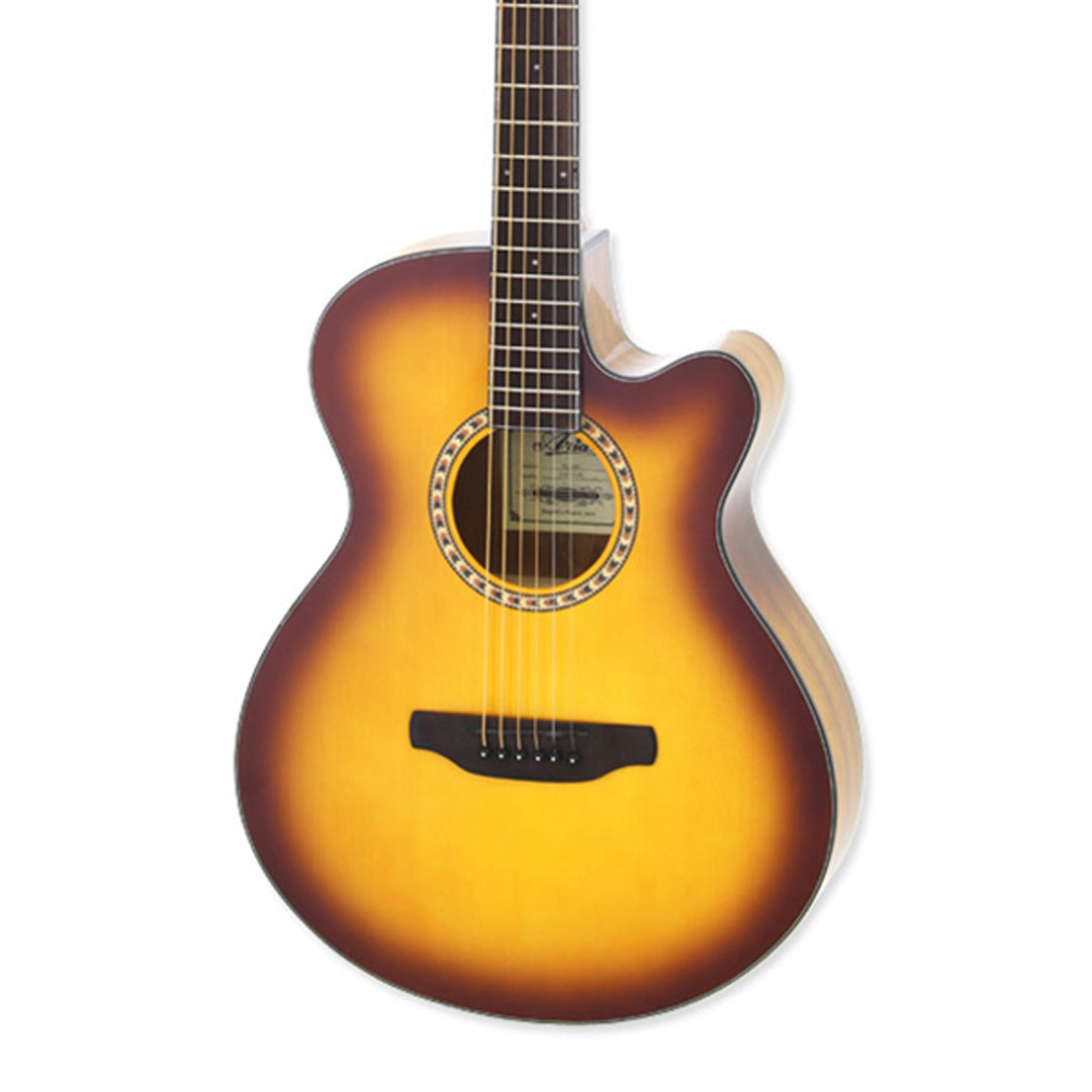 Aria TG-1 Acoustic Guitar