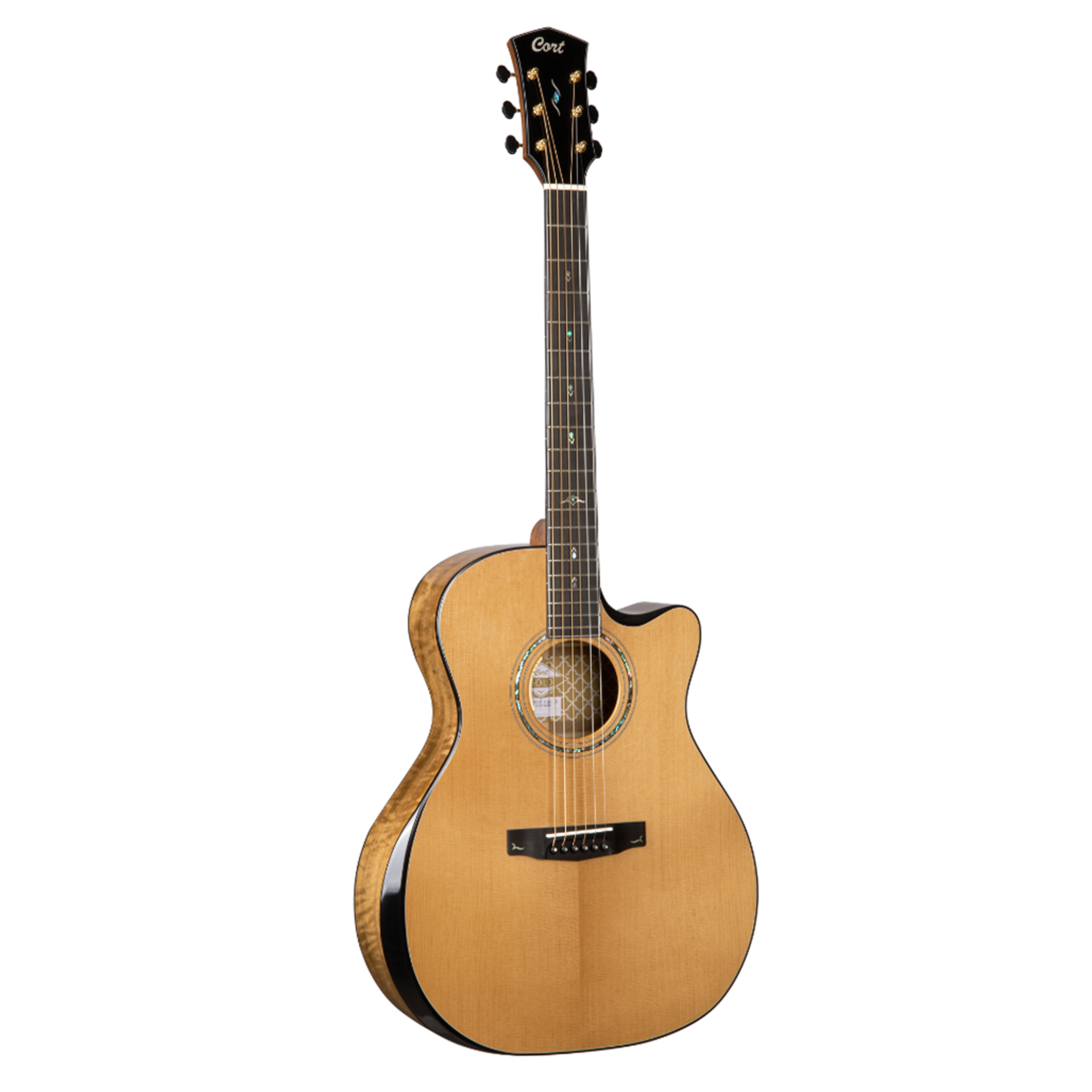 Cort Gold-Edge Acoustic Guitar