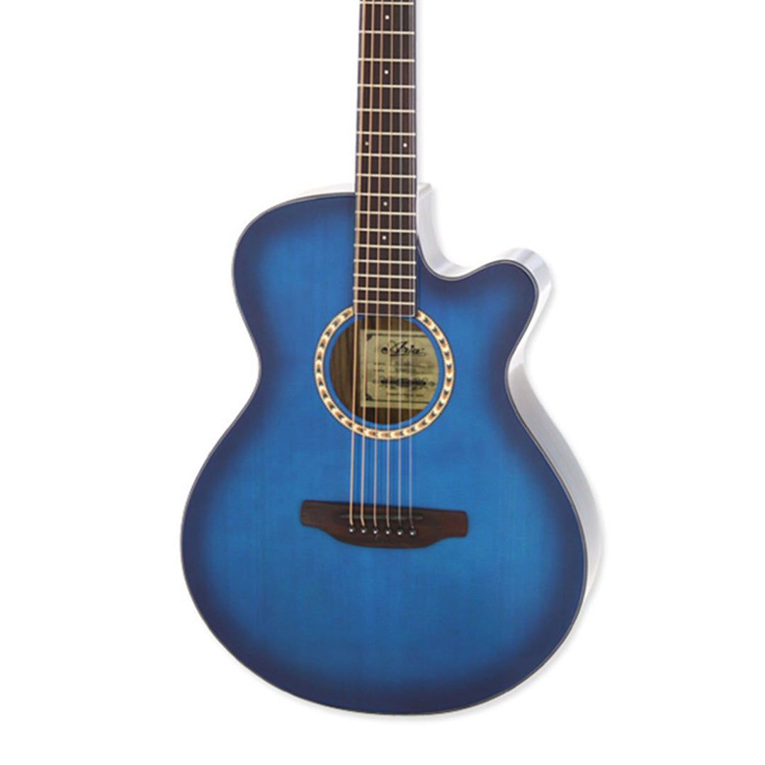 Aria TG-1 Acoustic Guitar