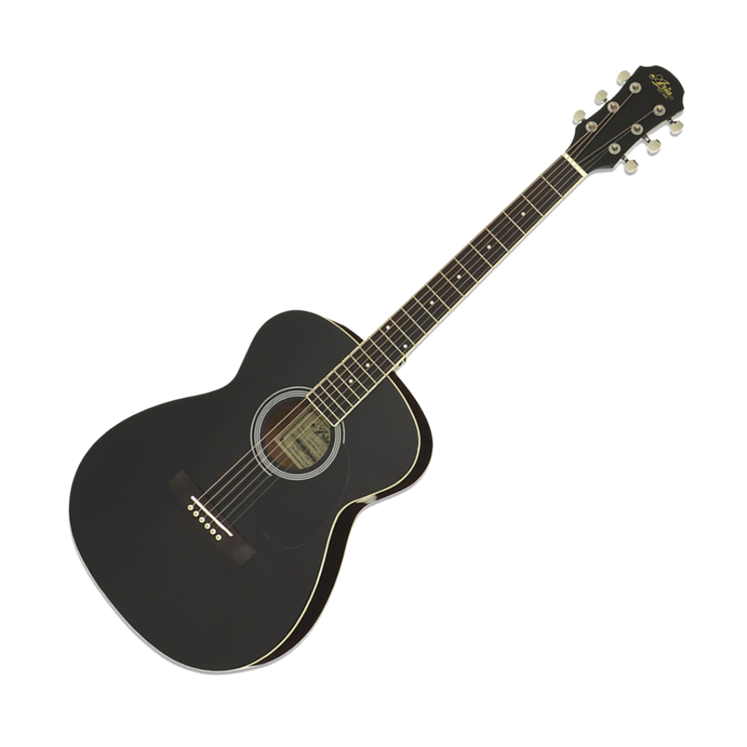 Aria AFN-15 Acoustic Guitar
