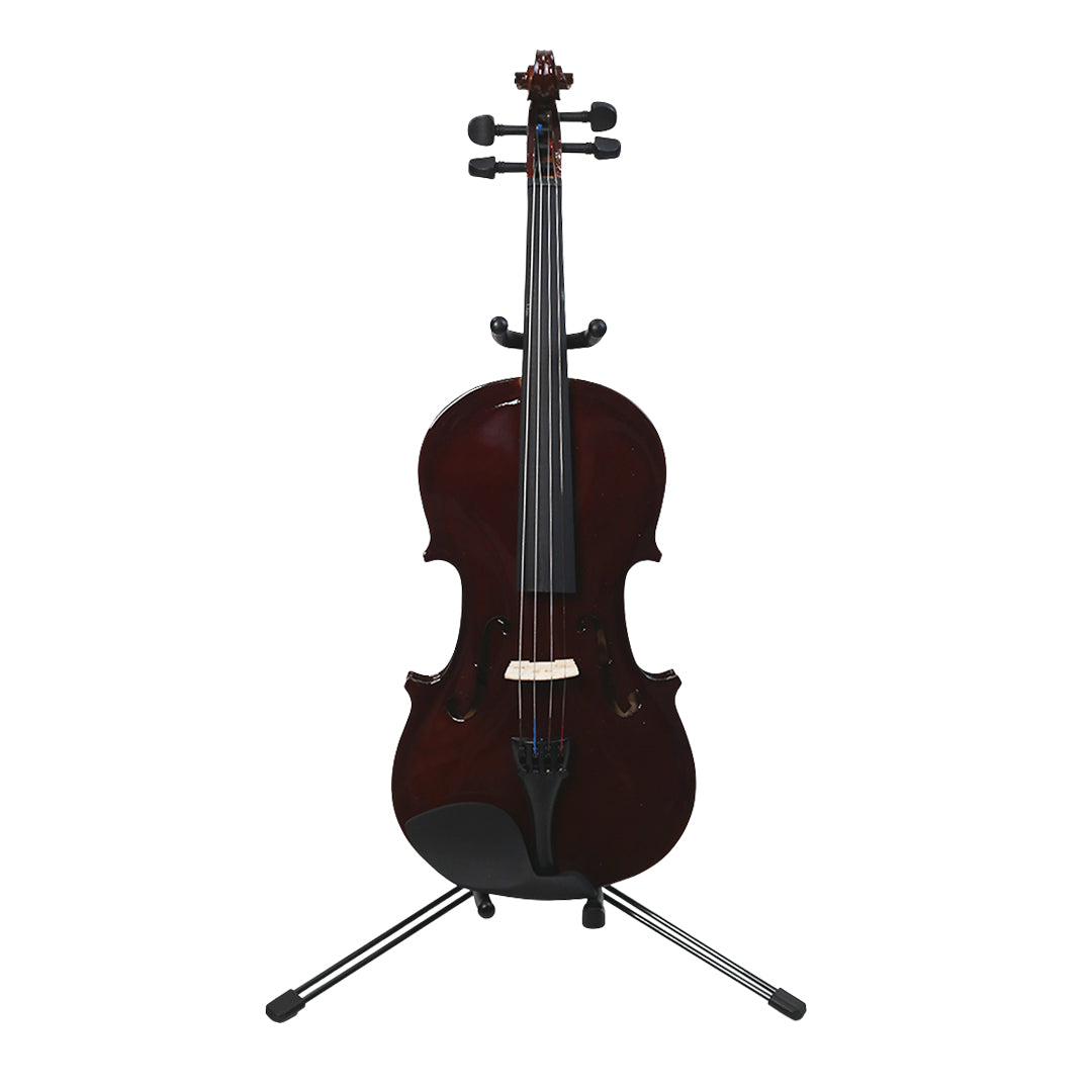 Lazer 3115FL Violin with Colored Design