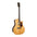 Cort Gold-A8 Acoustic Guitar