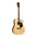 CORT AD880CE Dreadnought Acoustic Guitar with Pickup [AD880CE]