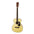 Aria AF-20 Acoustic Guitar