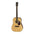 Aria ADW-01 Acoustic Guitar