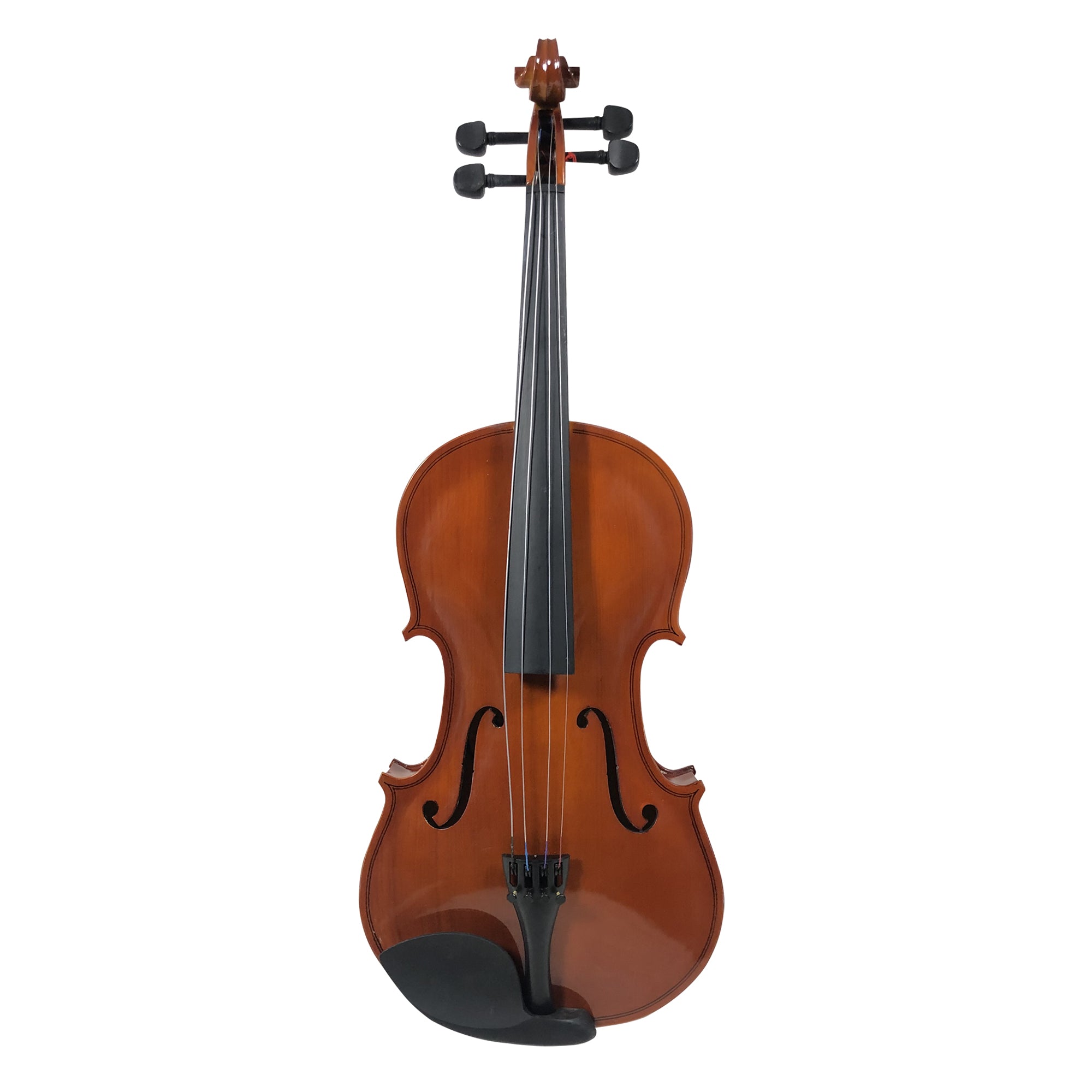 Professional Violin 1/8