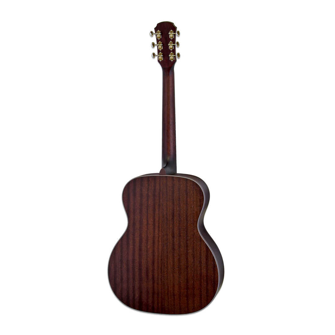 Aria 101DP -Delta Player- Acoustic Guitar
