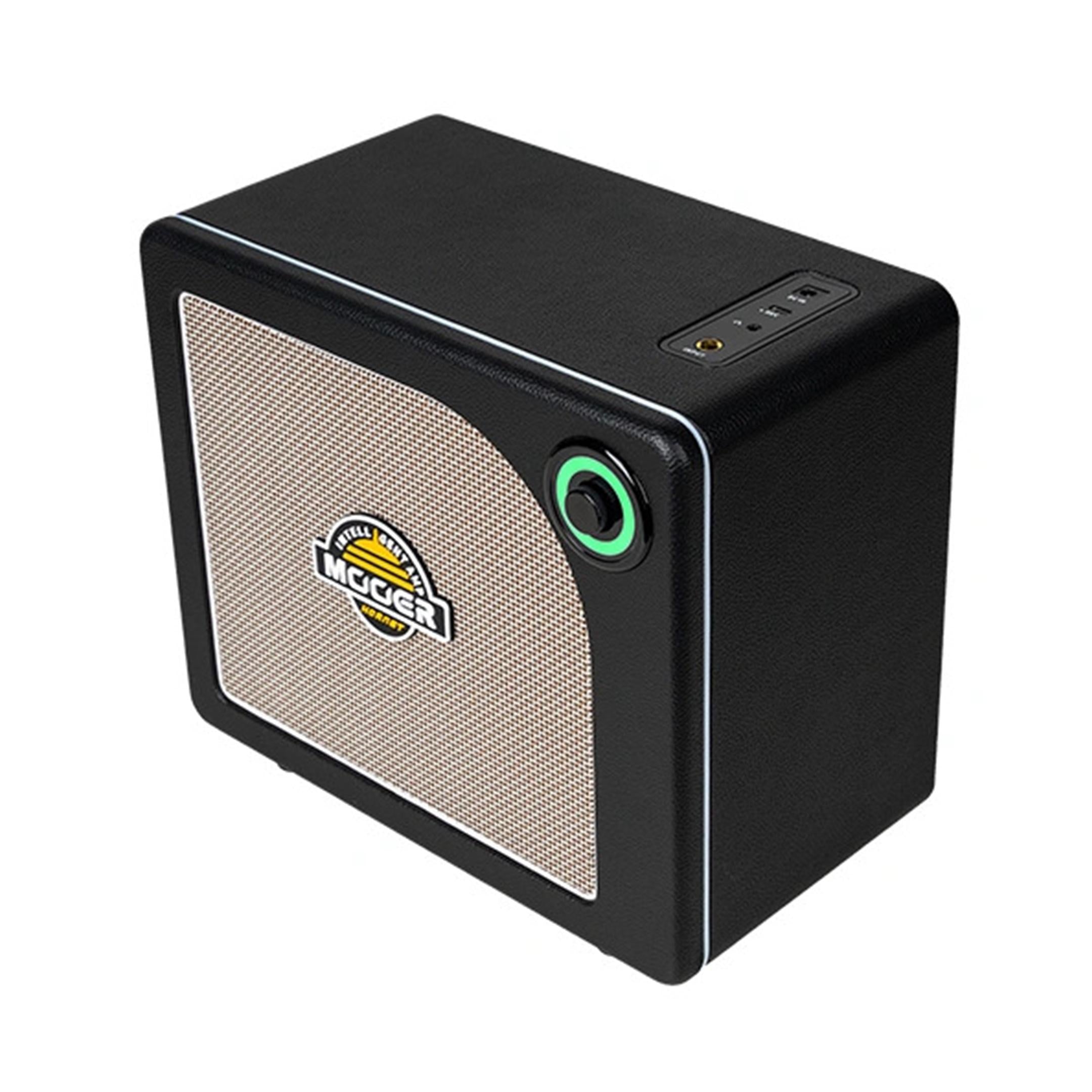 Mooer Hornet 15i 15Watts Intelligent Amplifiers