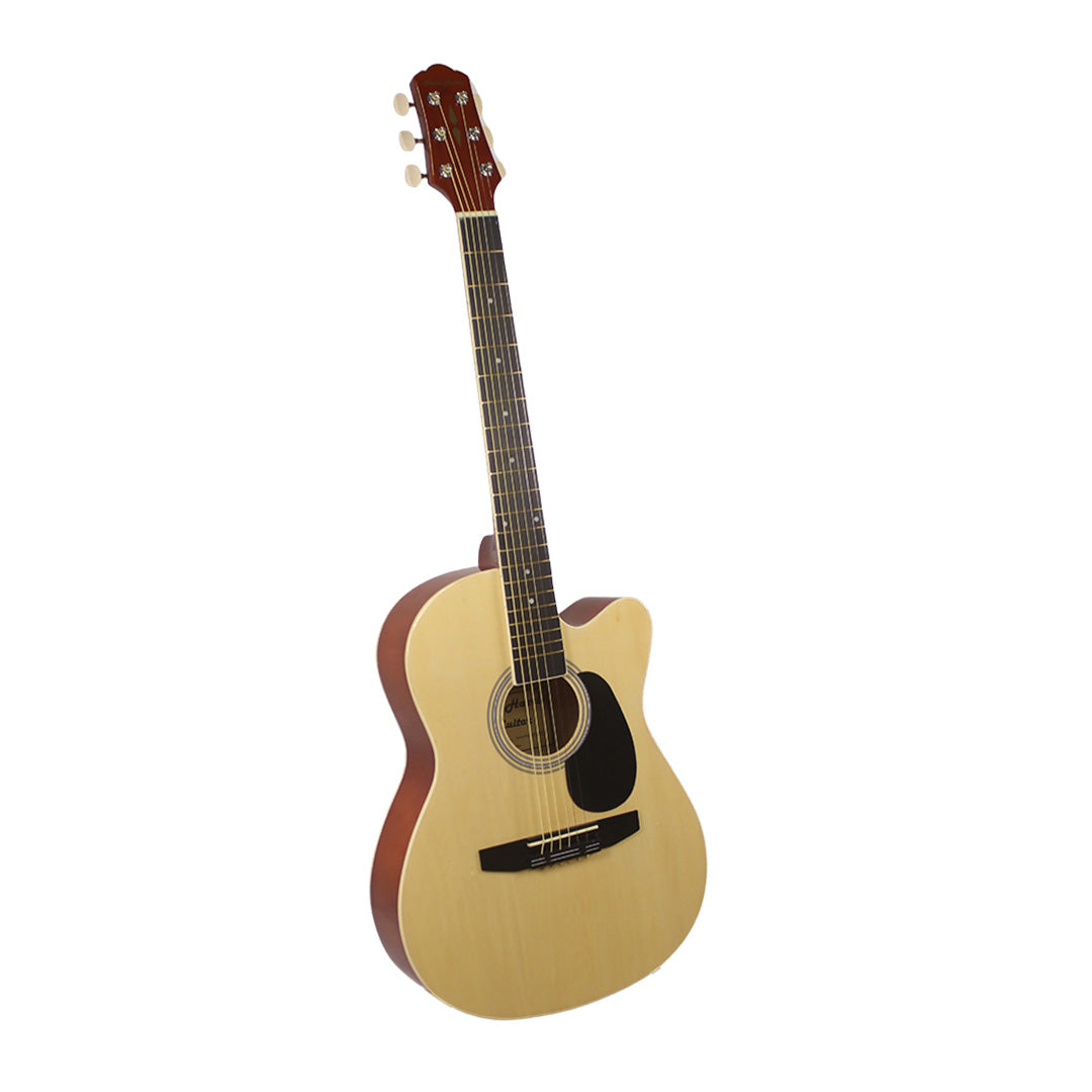 STEVEN HARRIS Acoustic Guitar 39" Cutaway [CAG-110C]