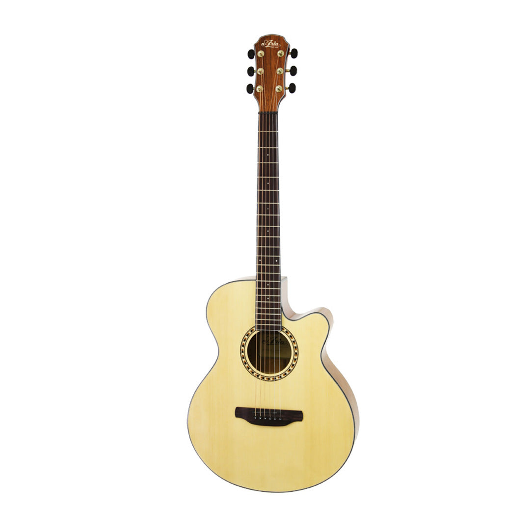 Aria TG-1 Acoustic Guitar