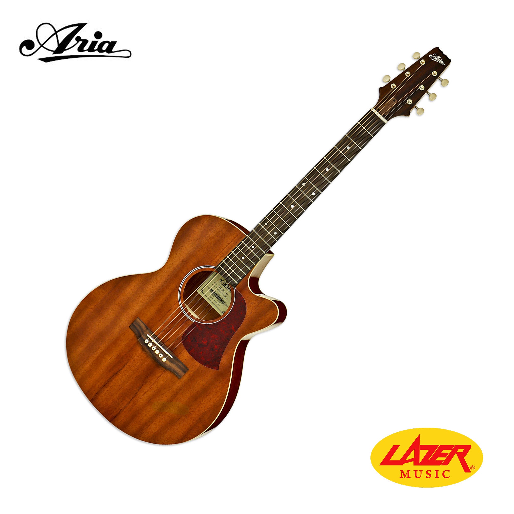 Aria FET-R1 Acoustic Guitar