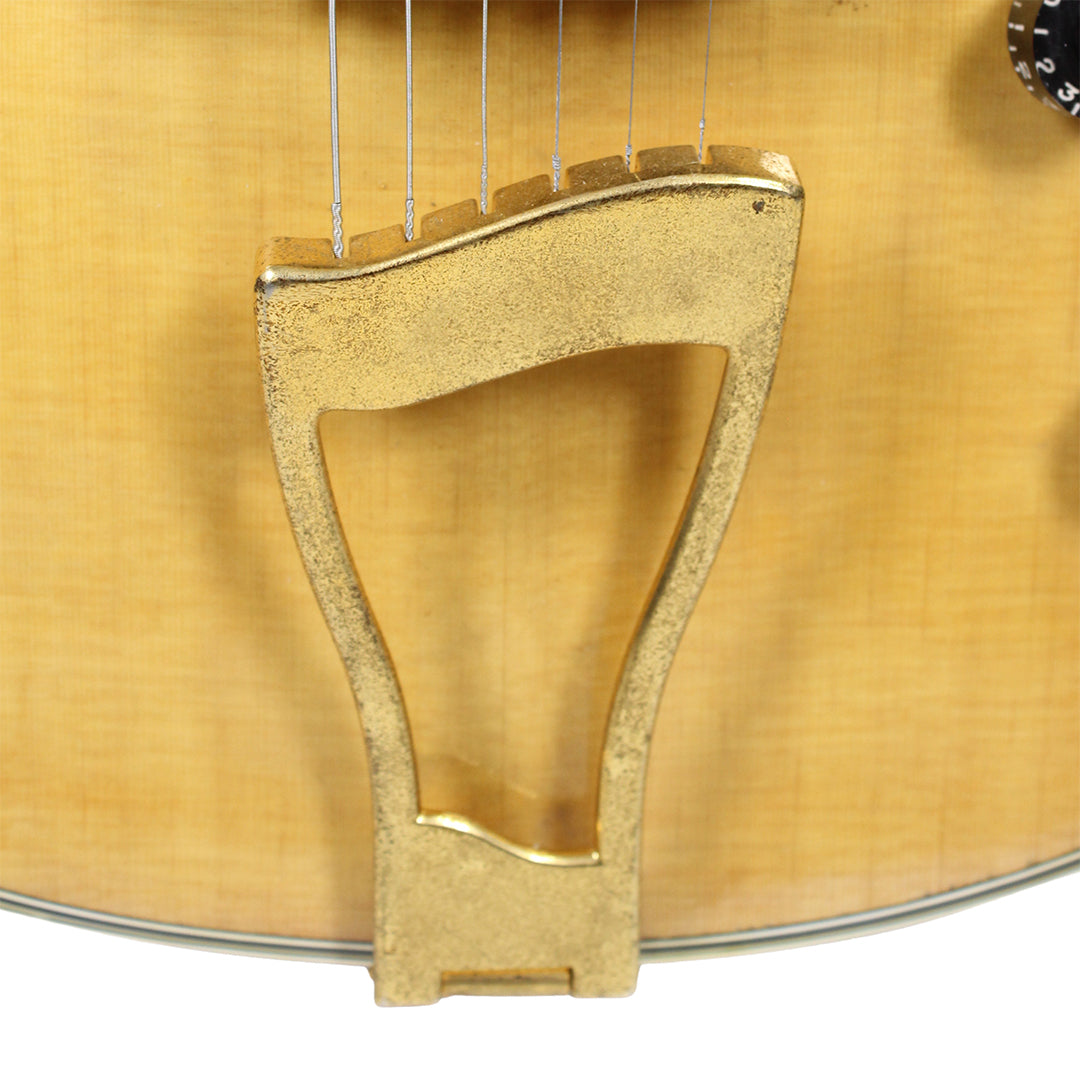 Rockstar Hollowbody / Semi-Hollow Electric Guitar (Clearance)