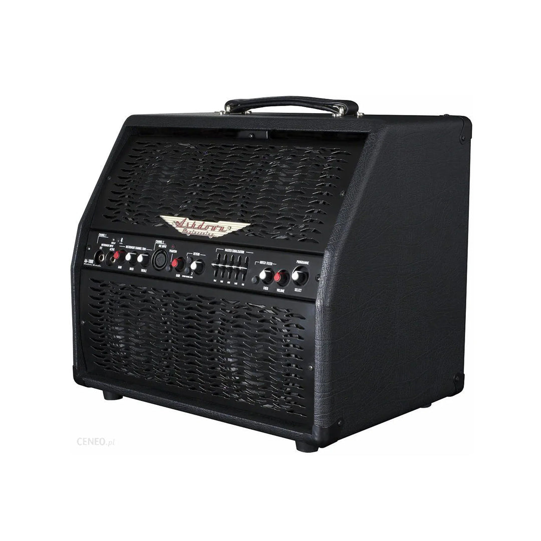 Ashdown AA-100-R Acoustic Guitar Combo Amplifier