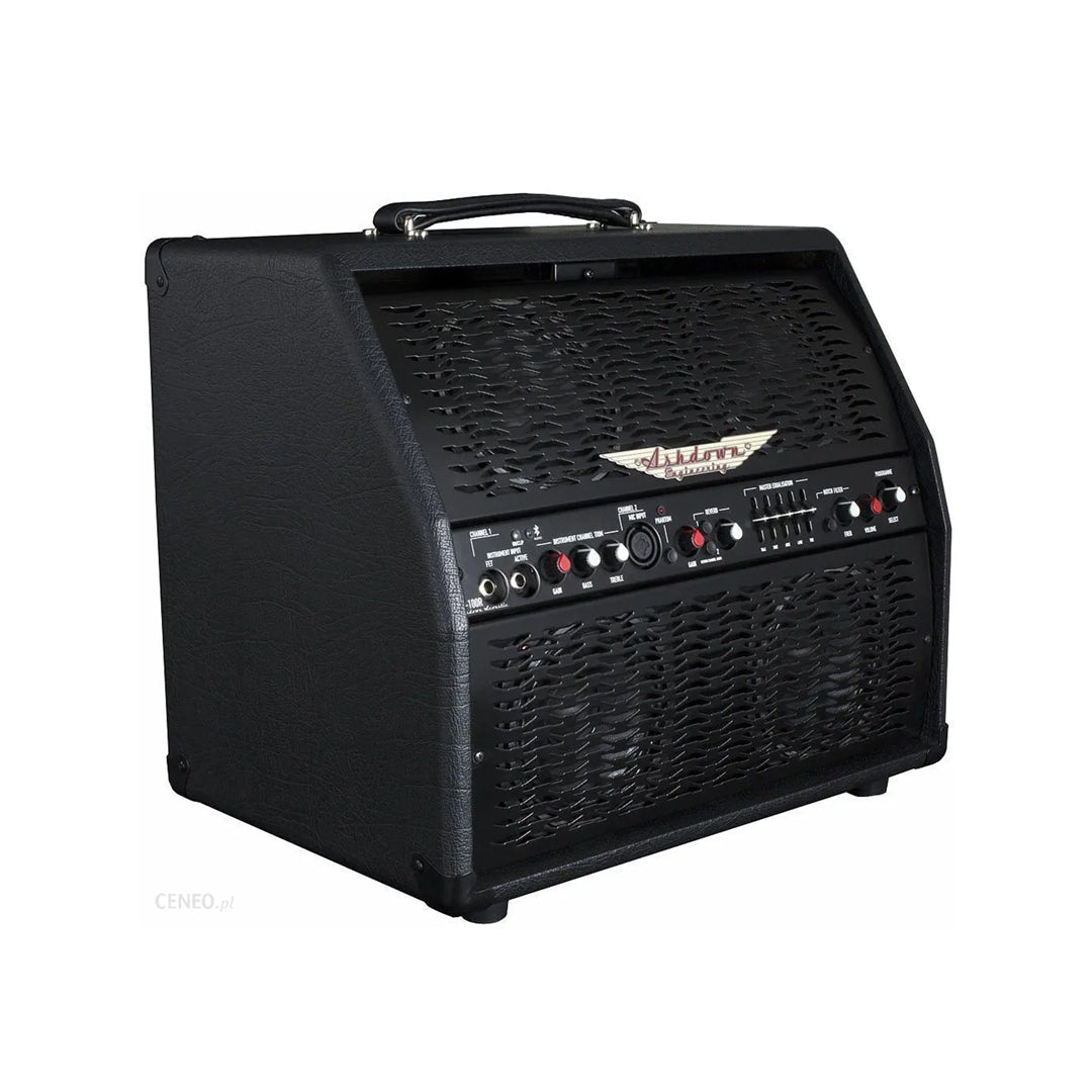 Ashdown AA-100-R Acoustic Guitar Combo Amplifier
