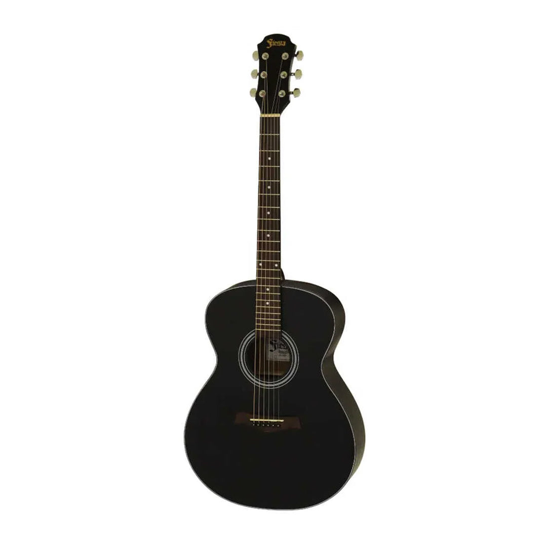 Aria Acoustic Guitar (FST-D65-BK)