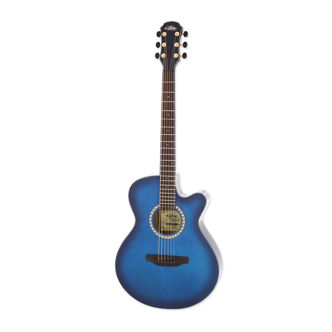 Aria TG-1 Acoustic Guitar