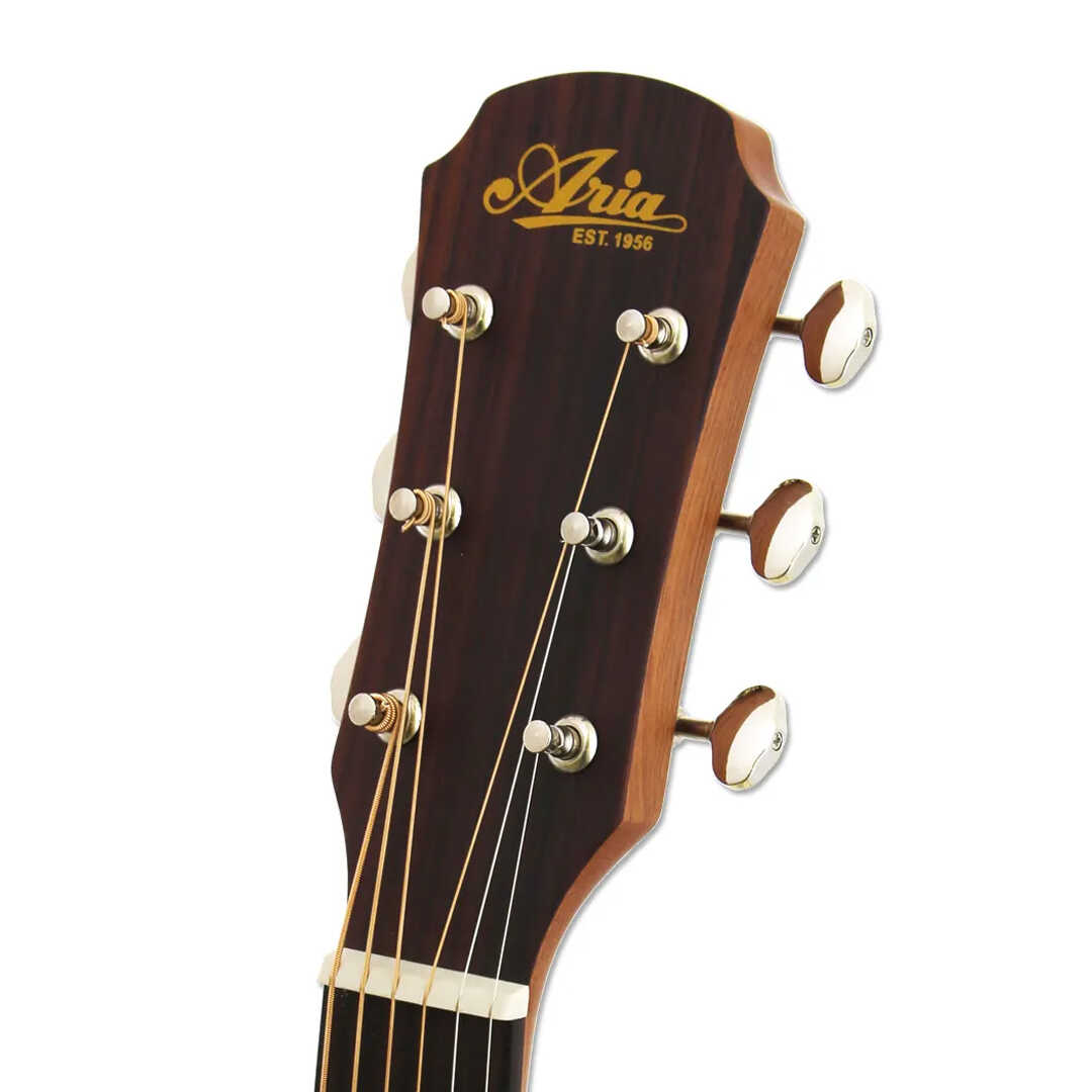 Aria 131DP -Delta Player- Acoustic Guitar