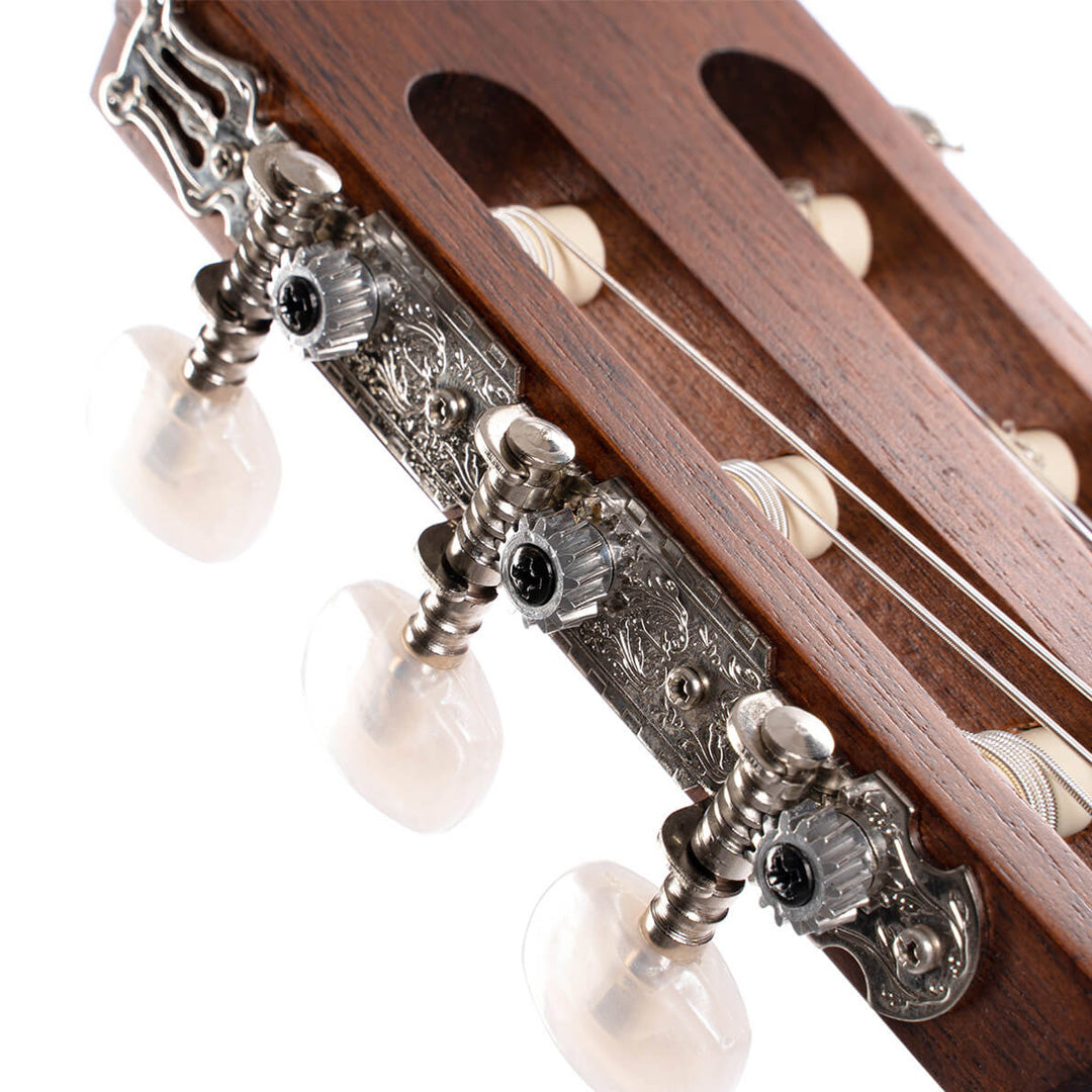 Cort AC100 Classical Guitar (Semi Glossy)