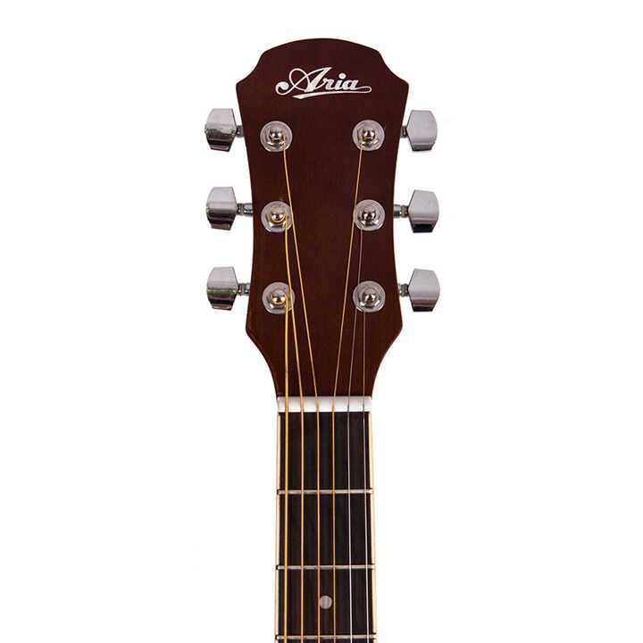 Aria AGPN-003-N Guitar