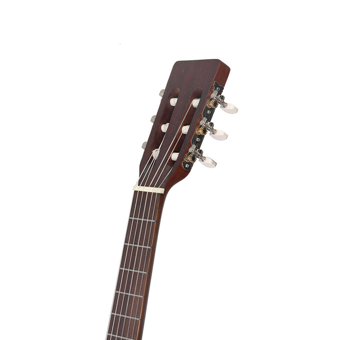 Aria ASA-18H Acoustic Guitar