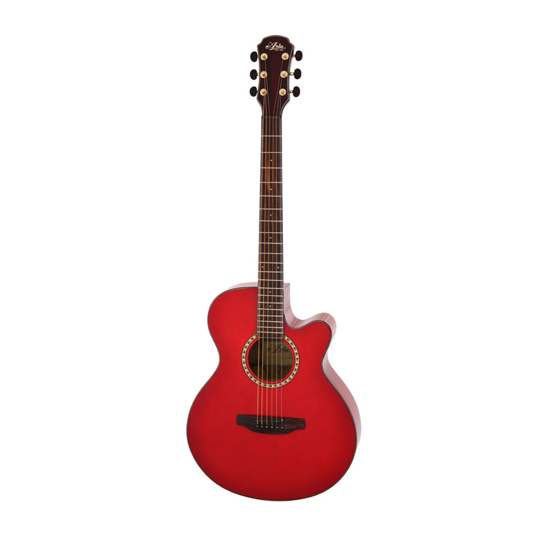 Aria TG-1 Acoustic Guitar