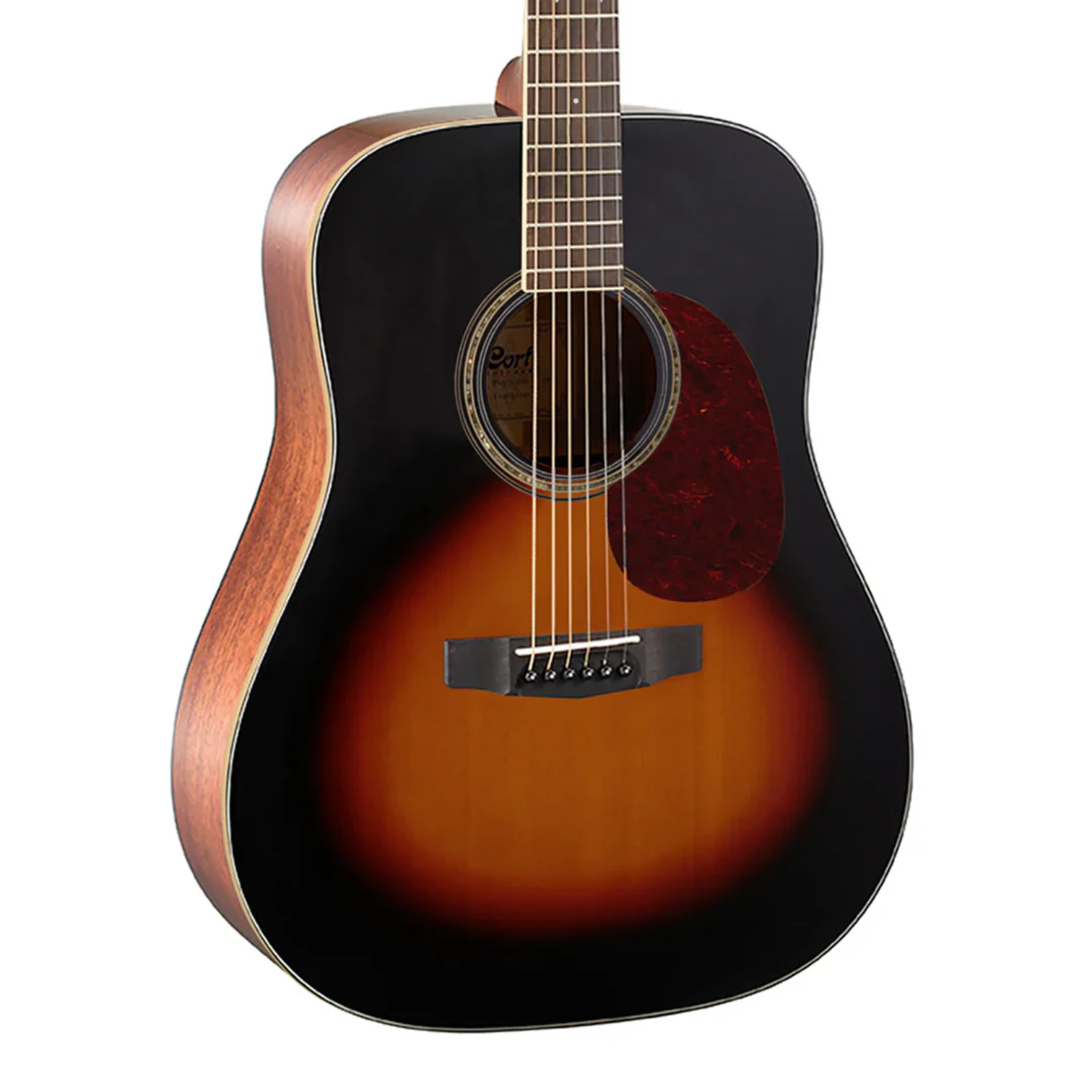 Cort Earth100 Acoustic Guitar