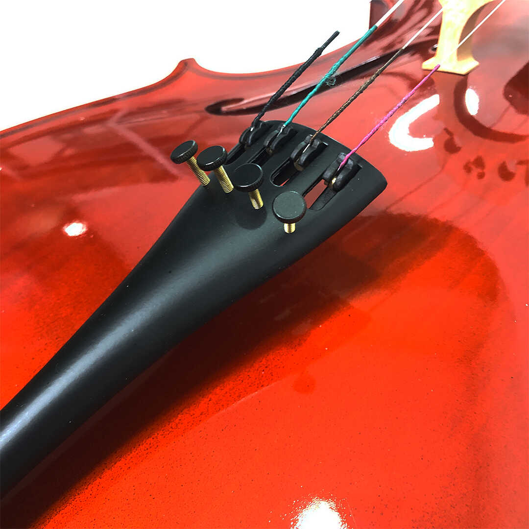 Lazer 3310S 4/4 Cello With Softcase