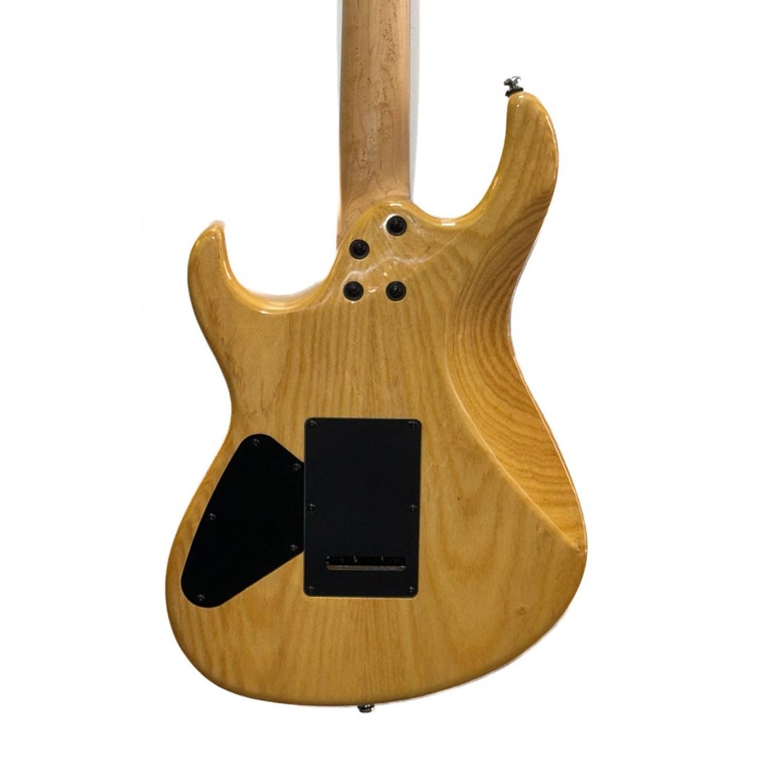 Cort G290 FAT Electric Guitar