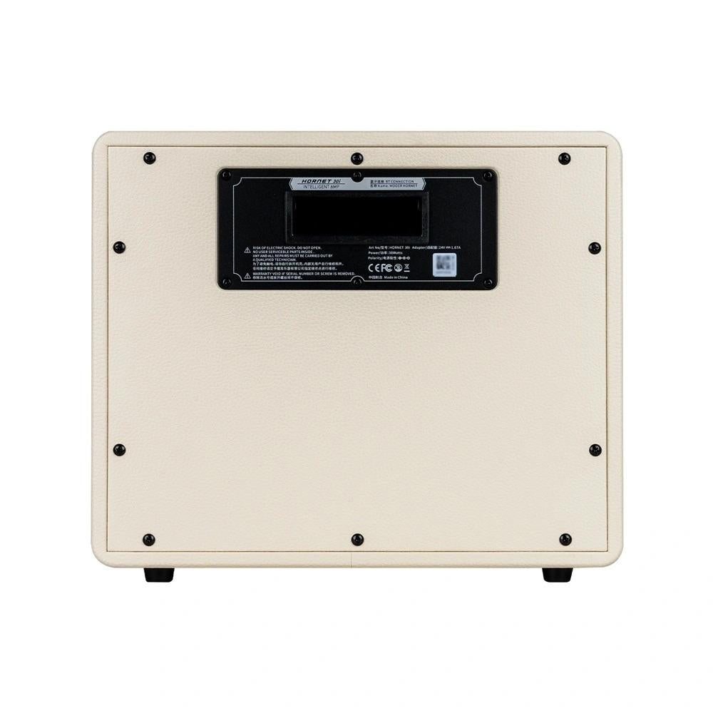 Mooer Hornet 30i Intelligent Amplifiers