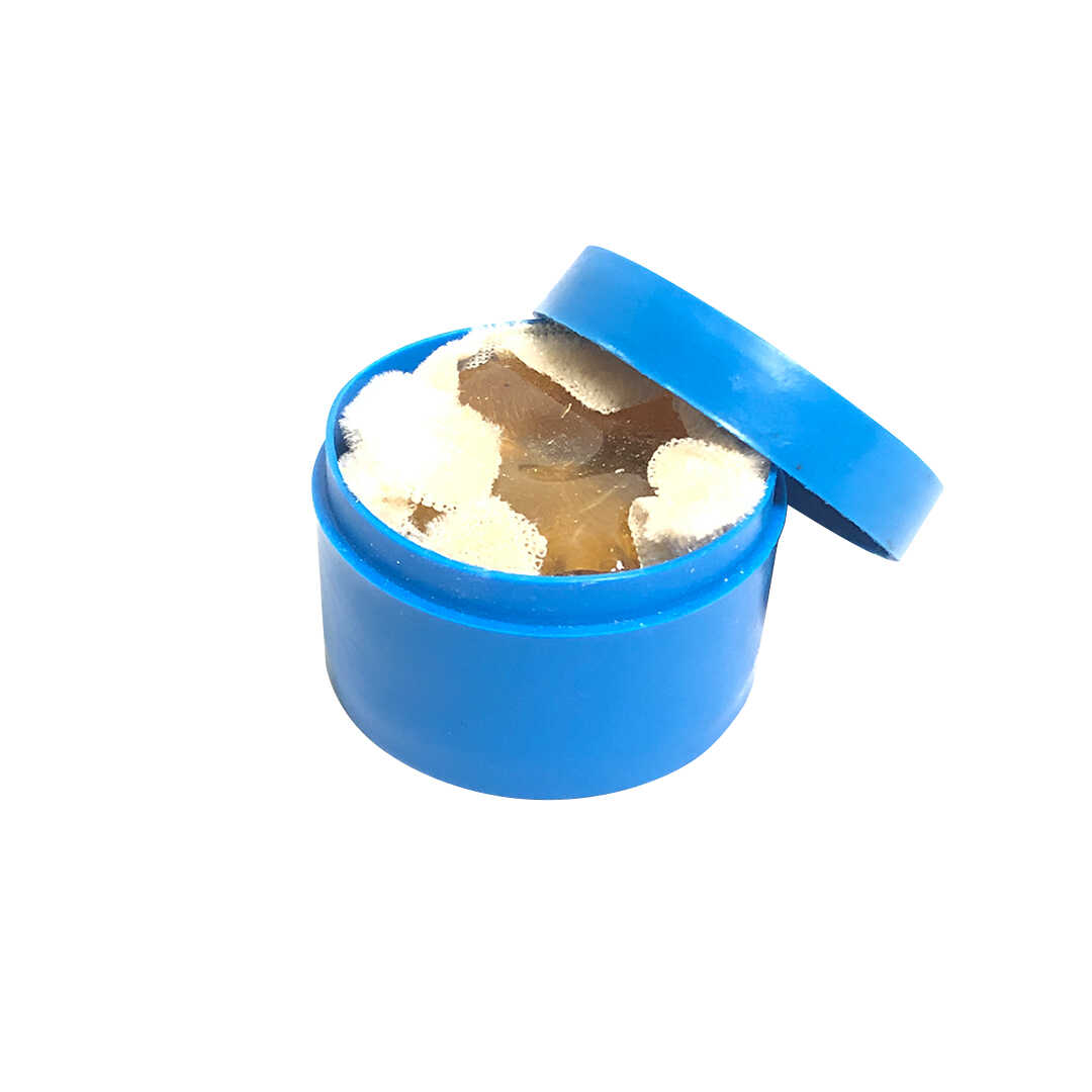 Lazer 3310S 4/4 Cello With Softcase