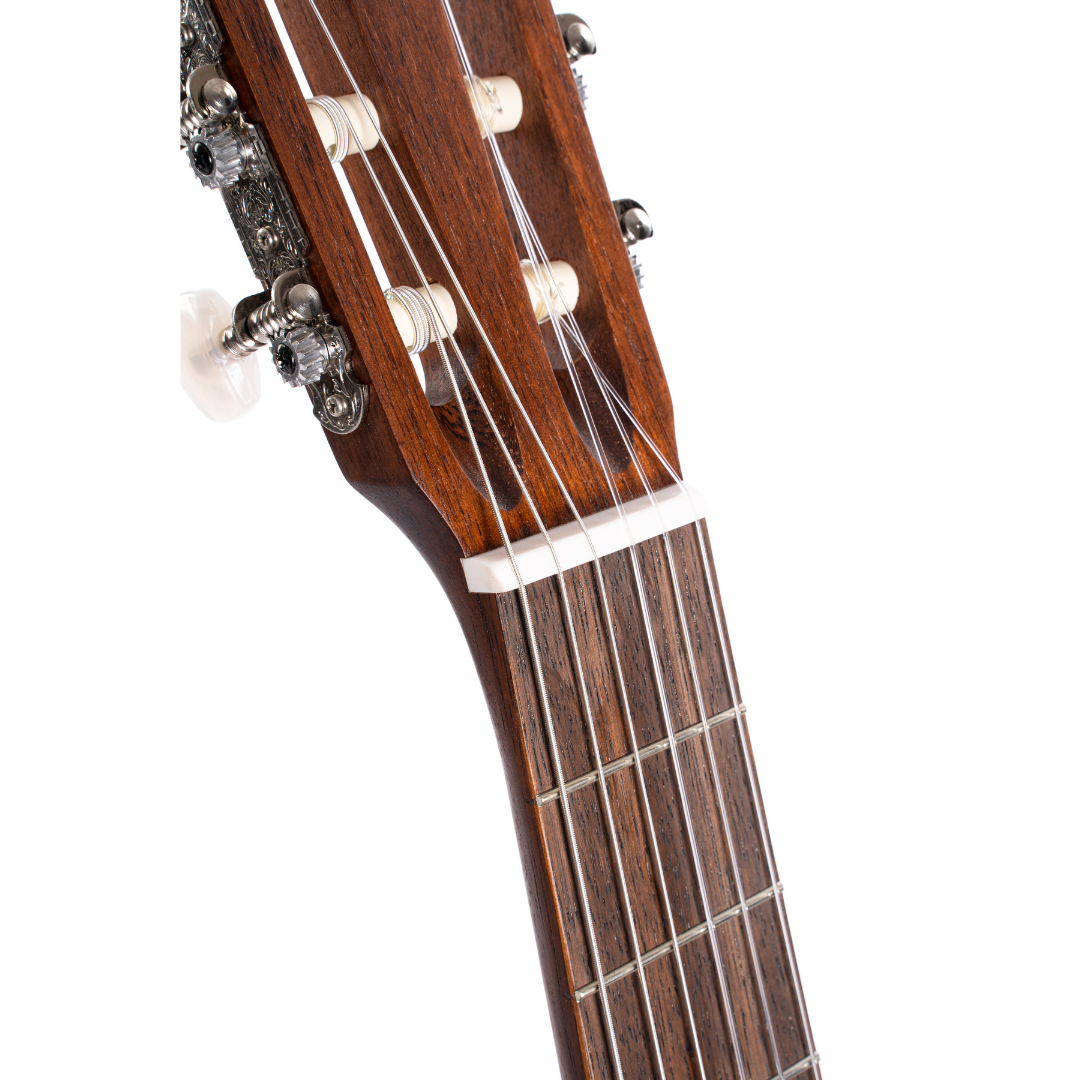 Cort AC100 Spruce Top Classical Guitar