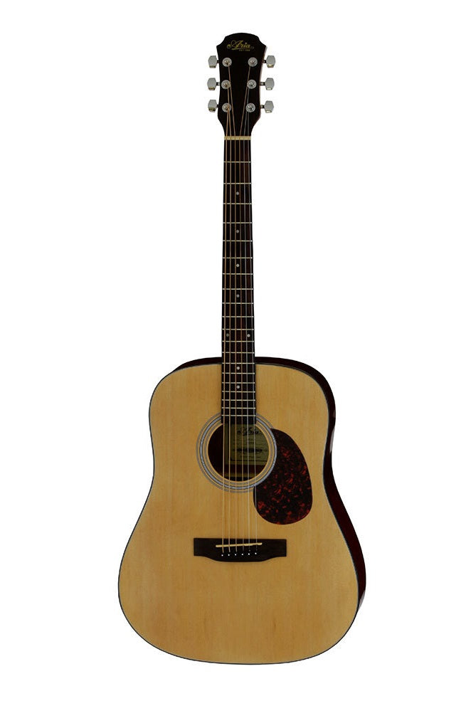 Aria ADW-01 Acoustic Guitar