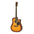 Aria AWN-15CE Acoustic Guitar
