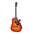Aria AWN-15CE Acoustic Guitar