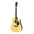 Aria AWN-15CE Acoustic Guitar