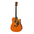 Aria AWN-15CE Acoustic Guitar