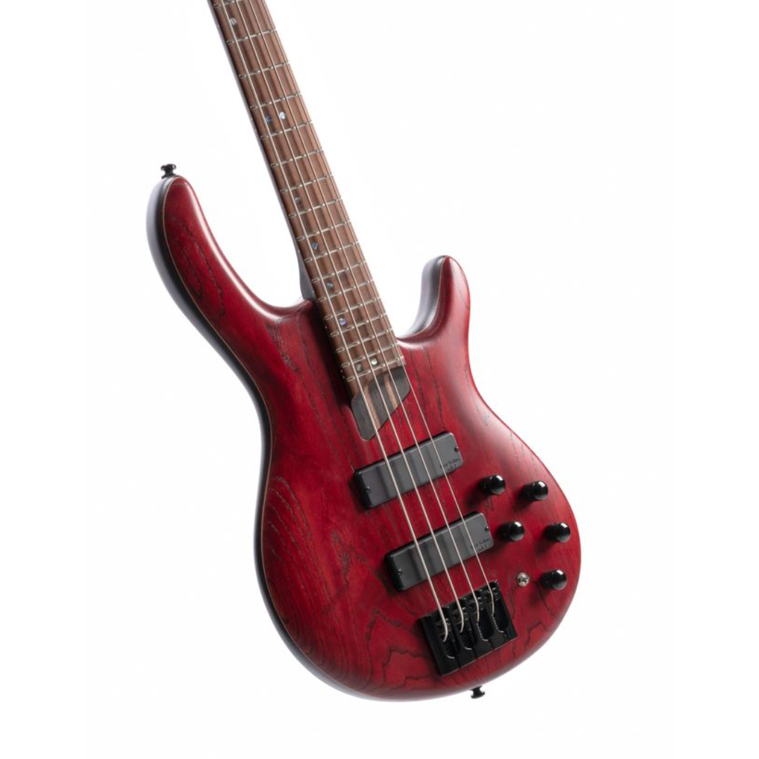 Cort Artisan B4 Element Electric Bass
