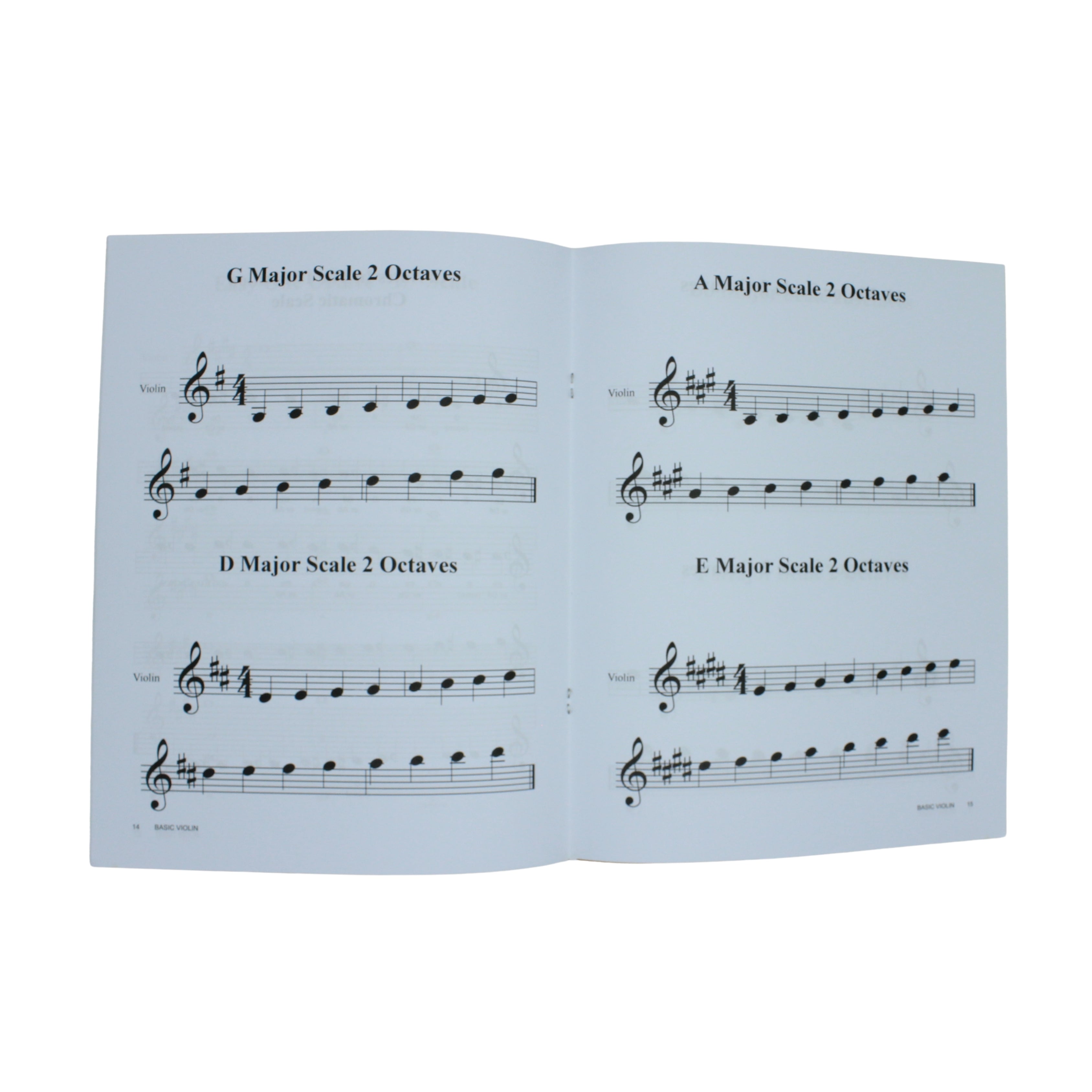 BVB Student Beginner Violin