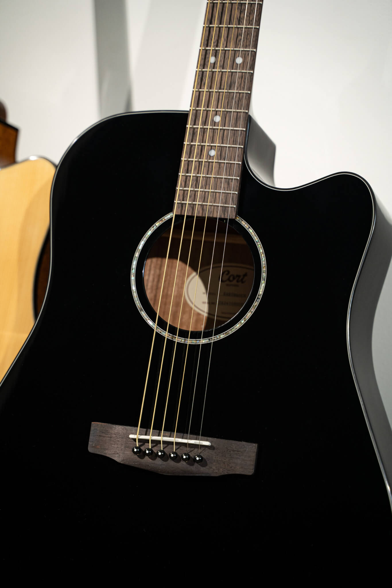 Cort Earth60CE Acoustic Guitar [EARTH 60CE]