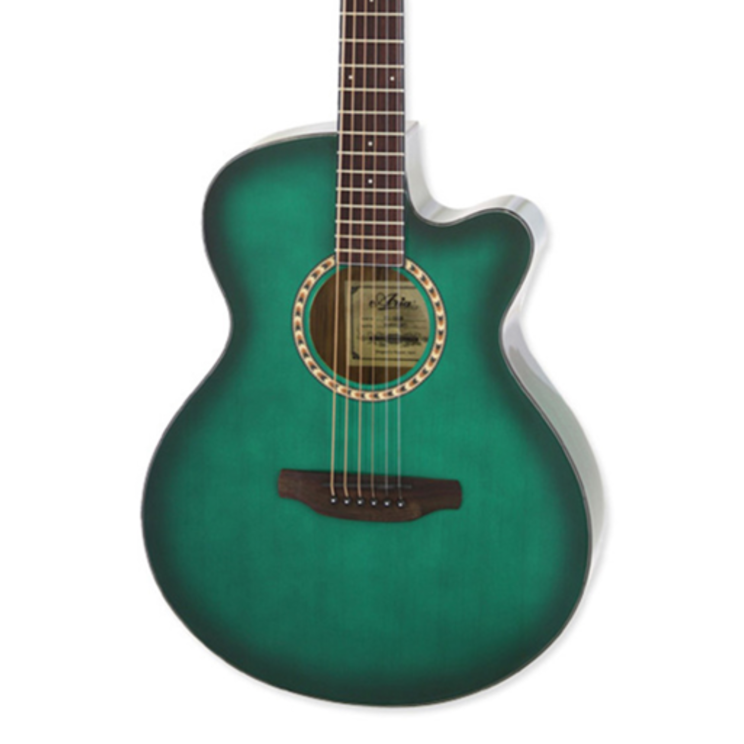 Aria TG-1 Acoustic Guitar