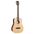 CORT Earth GO Acoustic Guitar w/ Built-In Effect, Looping and Bluetooth [EARTH GO]