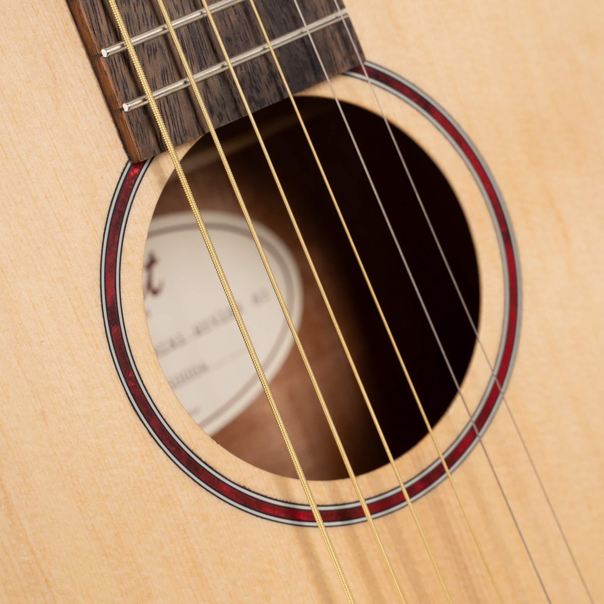 Cort Earth GO Acoustic Guitar w/ Built-In Effect, Looping and Bluetooth [EARTH GO]