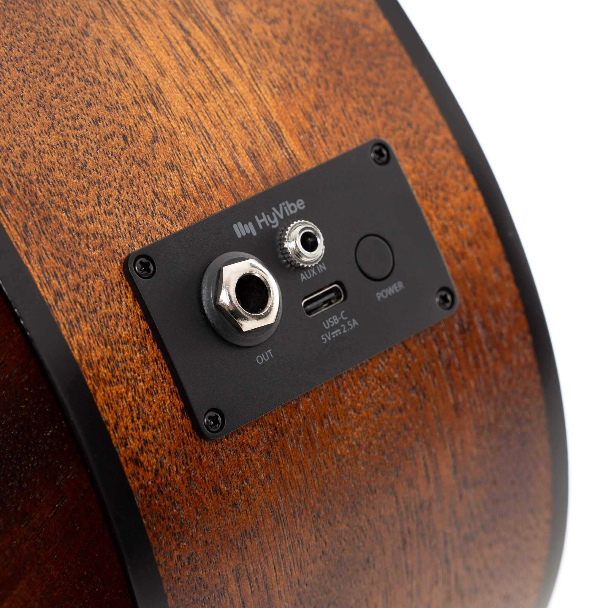 Cort Earth GO Acoustic Guitar w/ Built-In Effect, Looping and Bluetooth [EARTH GO]