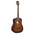 CORT Earth GO Acoustic Guitar w/ Built-In Effect, Looping and Bluetooth [EARTH GO]