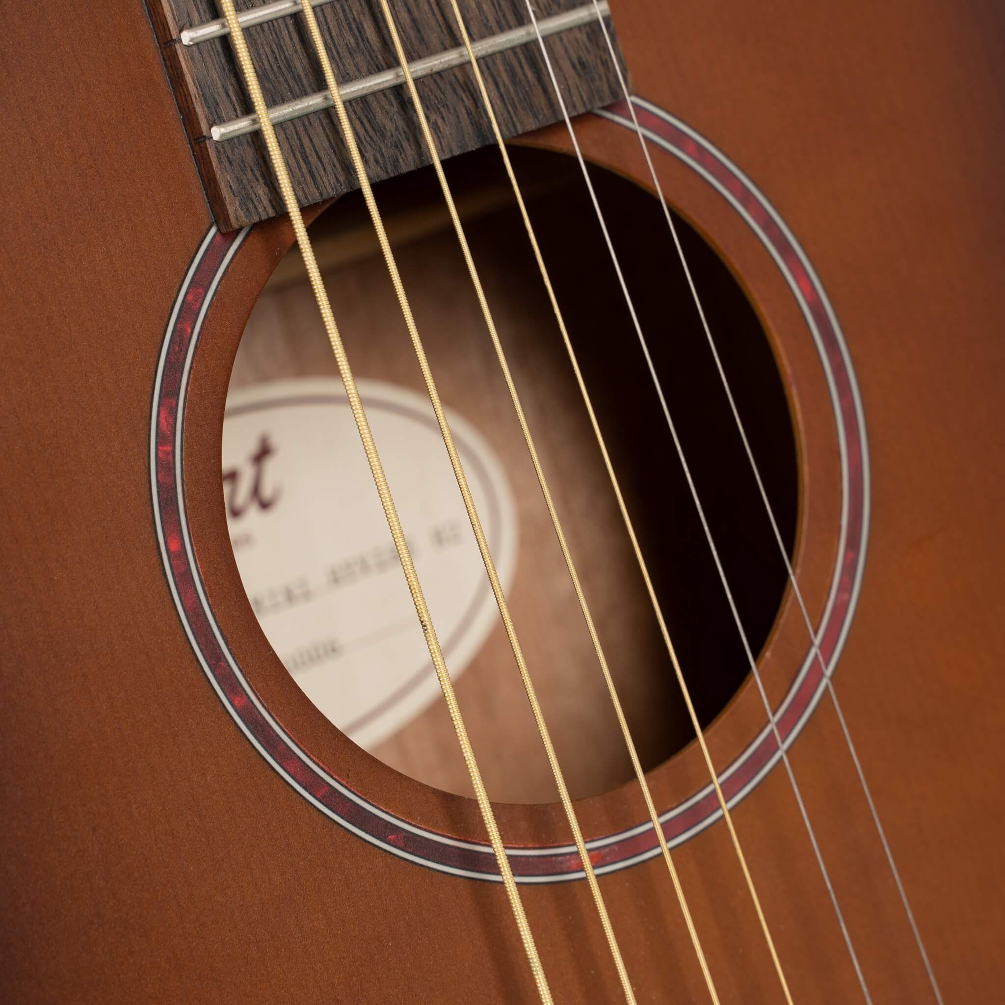 Cort Earth GO Acoustic Guitar w/ Built-In Effect, Looping and Bluetooth [EARTH GO]