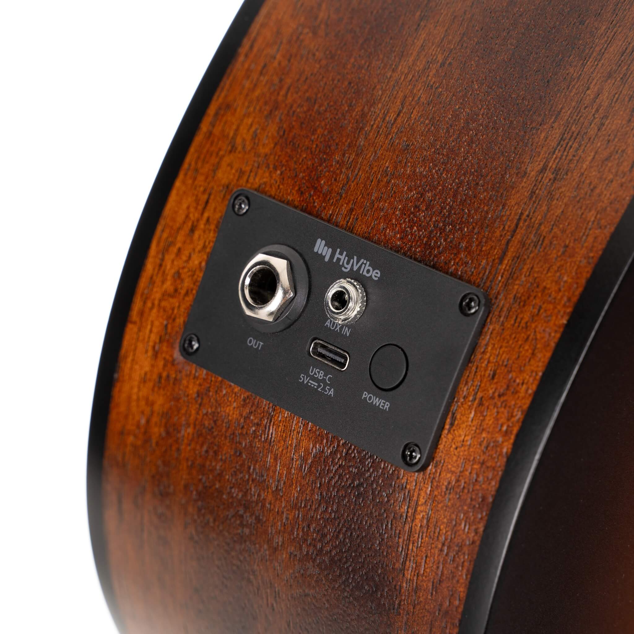 Cort Earth GO Acoustic Guitar w/ Built-In Effect, Looping and Bluetooth [EARTH GO]