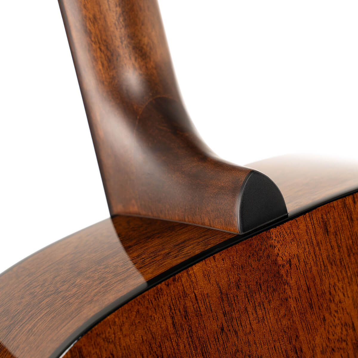 Cort Earth 60 Acoustic Guitar [EARTH-60]