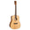 Cort Earth 60 Acoustic Guitar [EARTH-60]